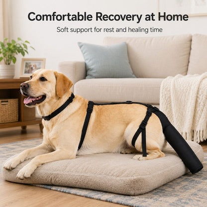 Ortekor Adjustable Dog Tail Protector for Recovery & Daily Walks - Padded Guard for Sensitive Tails