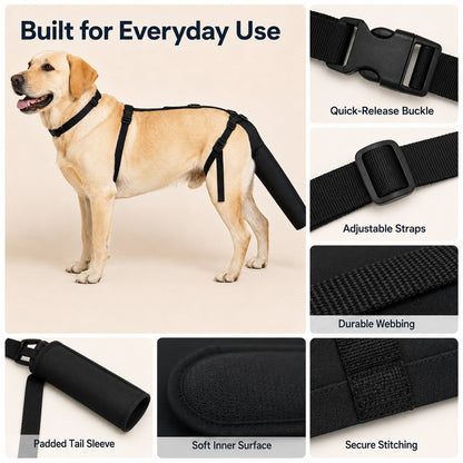 Ortekor Adjustable Dog Tail Protector for Recovery & Daily Walks - Padded Guard for Sensitive Tails
