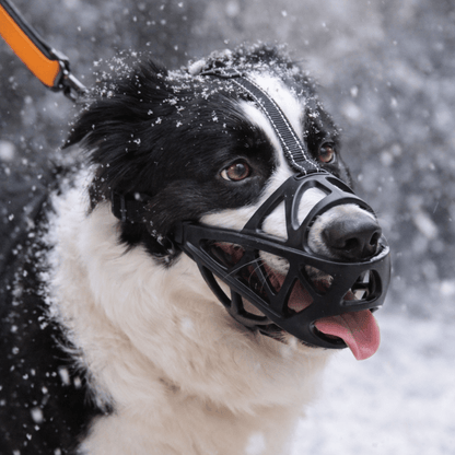 Soft Fabric Dog Muzzle for Training, Vet Visits & Grooming – Breathable Mesh Design for Small to Large Breeds – Adjustable Secure Fit