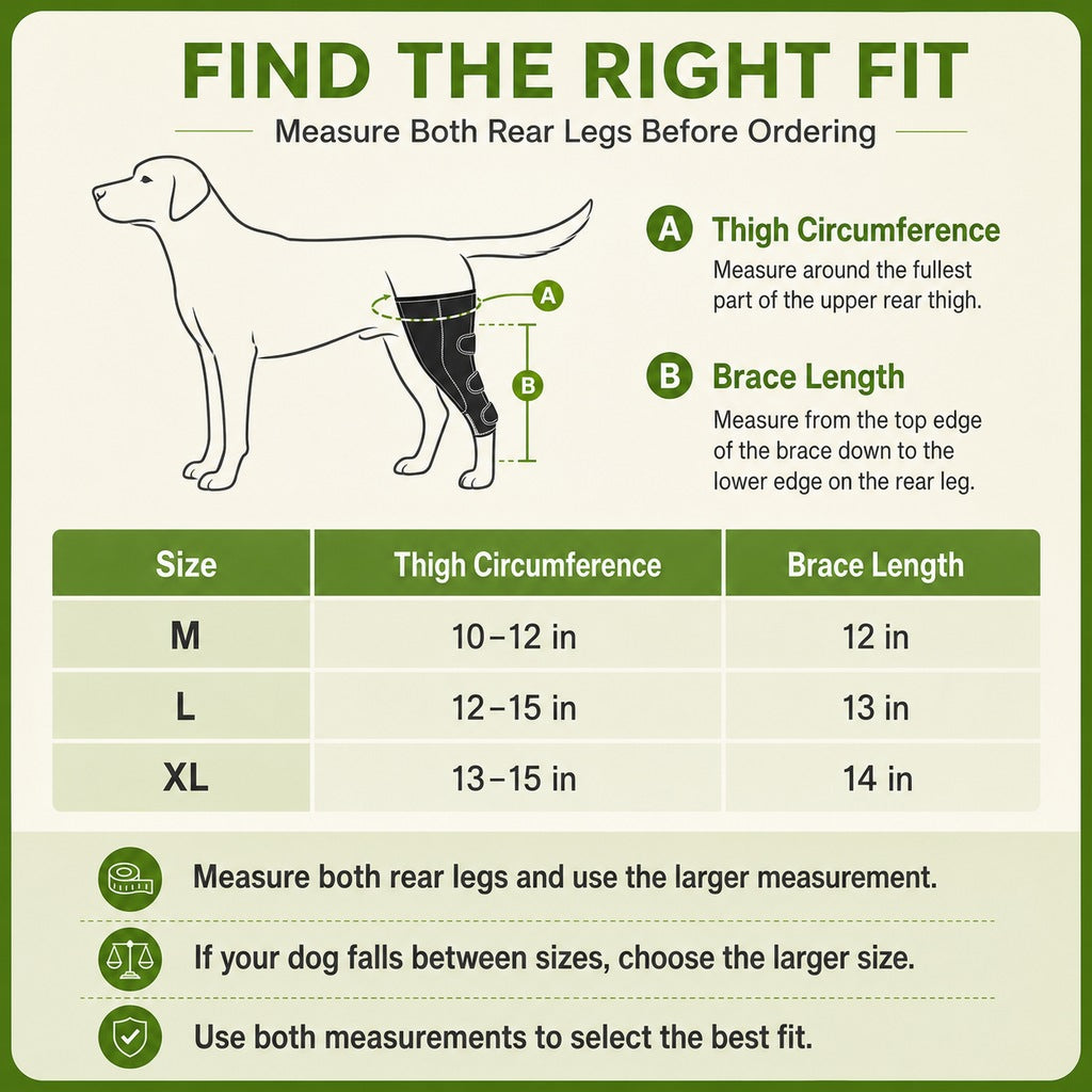 Ortekor Dual Rear Leg Dog Support Brace with Harness - Walking Stability for Weak Hind Legs
