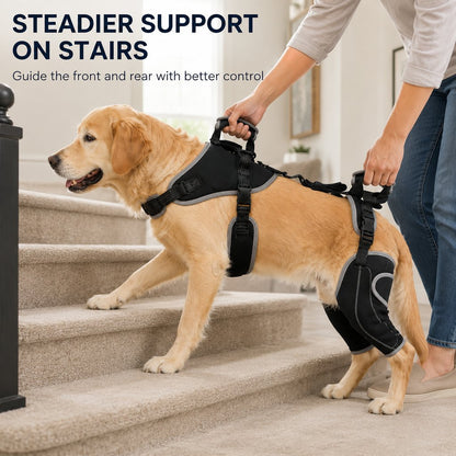 Ortekor Full-Body Dog Lift Harness with Dual Rear-Leg Support - Easier Standing, Stairs & Car Entry