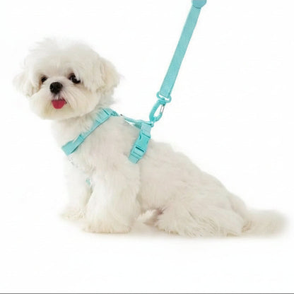 PAWGLEAM – Reflective Pet Harness Leash Set
