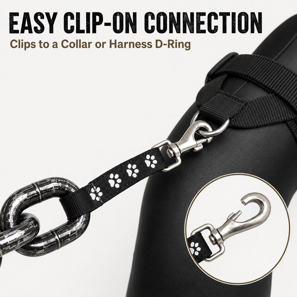 Ortekor Oversized Chain Dog Leash & Collar Set for Small Dogs - Make Everyday Walks Stand Out