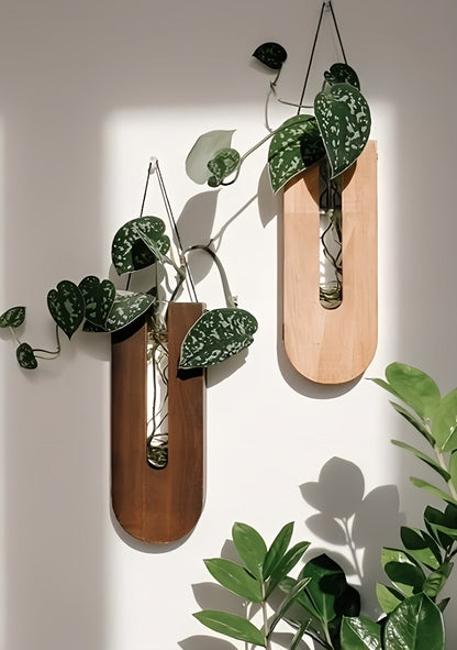 Pine Wood Plant Holder Set of 7 for Indoor Walls | Hanging Succulent Display | Natural Wood Wall Organizer for Air Plants & Dried Botanicals