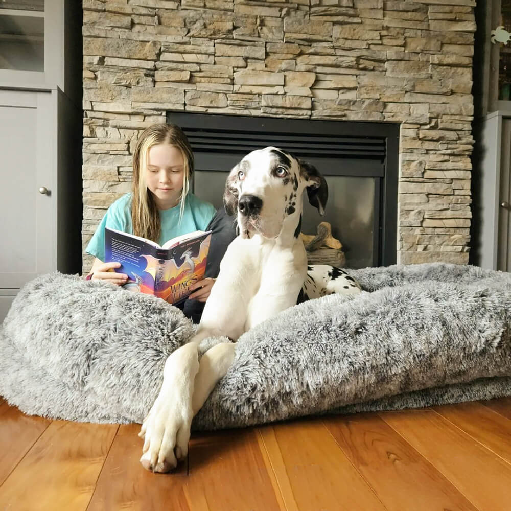 Round Bolster Pet Bed with Orthopedic Foam Support for Dogs | Raised Edge Calming Bed with Machine Washable Cover & Waterproof Liner