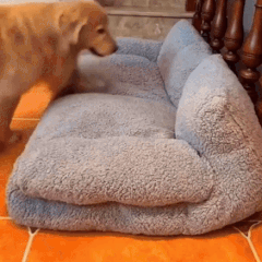Dog Beds for Small Dogs and Cats, Plush Pet Sofa Bed with Washable Cover, Cat Bed Couch with Anti Slip Base
