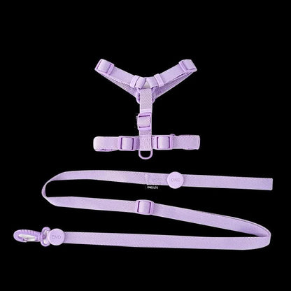 PAWGLEAM – Reflective Pet Harness Leash Set