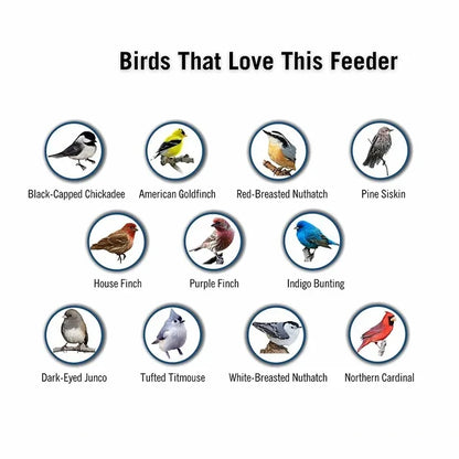 Weighted Rotating Perch Wild Bird Feeder with Anti-Rodent Spin Mechanism for Cardinals, Finches, Chickadees | Hanging Outdoor Seed Station