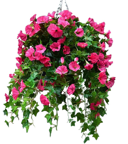 Faux Morning Glory Vine 35 in – 44 Blooms UV-Resistant Artificial Climbing Plant for Fence Porch Indoor Outdoor Décor