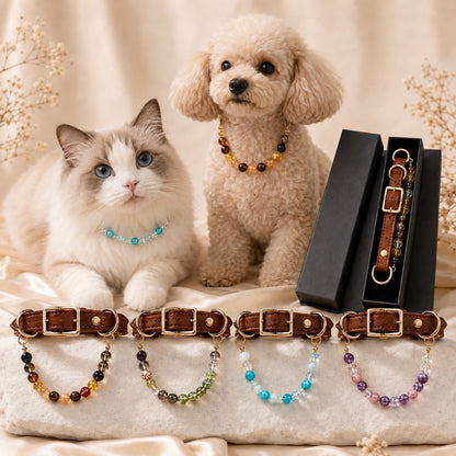 Ortekor Four Elements Crystal Pet Collar Gift Box for Cats & Small Dogs - Photo-Ready Astrology Pet Jewelry for Birthdays, Holidays & Meaningful Pet Gifts