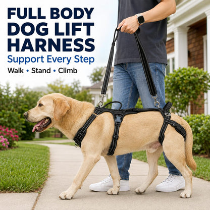 Ortekor Full Body Dog Lift Harness for Stairs & Car - Mobility Support for Weak Hind Legs