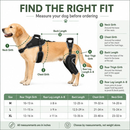 Ortekor Full-Body Dog Lift Harness with Dual Rear-Leg Support - Easier Standing, Stairs & Car Entry