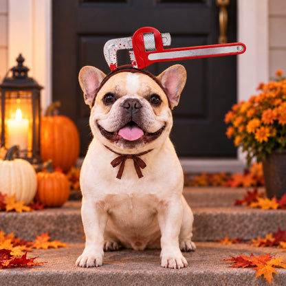 Ortekor Funny Halloween Pet Headwear for Dogs & Cats - Quick Tie-On Costume Prop for Parties, Photos & Trick-or-Treating