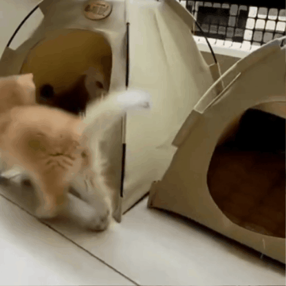 Cozy Cat Tent | Portable Cat Tent with Cooling Mat & Breathable Design for Ultimate Comfort