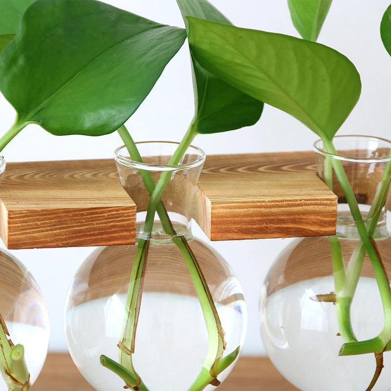 Flourish Propagation Vessel with Metal and Wooden Stand