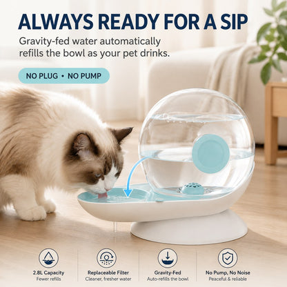 Ortekor 2.8L Gravity Pet Waterer for Cats & Small Dogs – No-Plug Auto Refill for Busy Homes