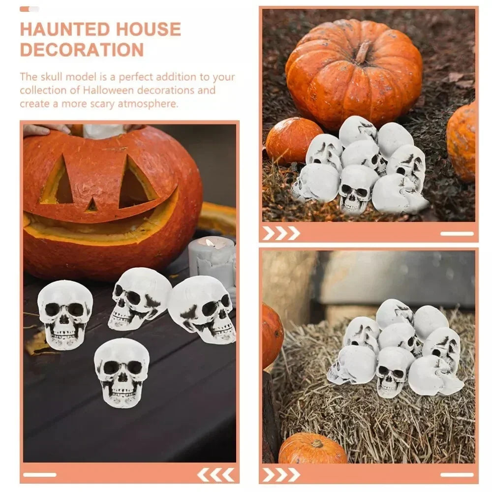 Mini Skeleton Skulls 10 Pack, Halloween Skull Decorations for Tabletop, Skeleton Heads for Halloween Skeleton Decor