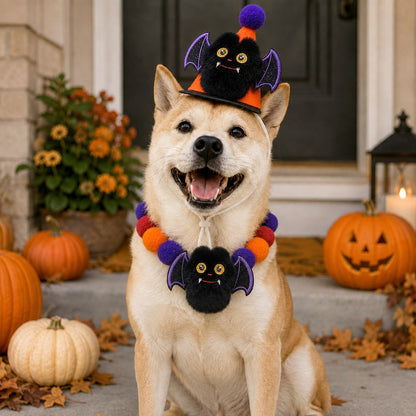 Ortekor Halloween Pet Hat & Pom-Pom Collar Set for Dogs & Cats – Easy 2-Piece Costume for Parties, Trick-or-Treating & Photos