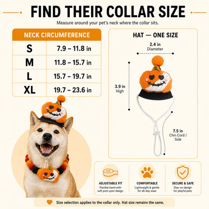 Ortekor Halloween Pet Hat & Pom-Pom Collar Set for Dogs & Cats – Easy 2-Piece Costume for Parties, Trick-or-Treating & Photos