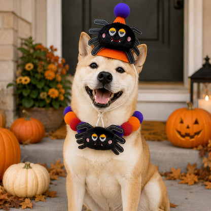 Ortekor Halloween Pet Hat & Pom-Pom Collar Set for Dogs & Cats – Easy 2-Piece Costume for Parties, Trick-or-Treating & Photos