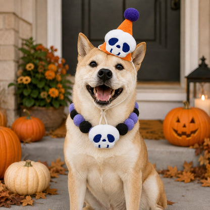 Ortekor Halloween Pet Hat & Pom-Pom Collar Set for Dogs & Cats – Easy 2-Piece Costume for Parties, Trick-or-Treating & Photos