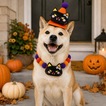 Ortekor Halloween Pet Hat & Pom-Pom Collar Set for Dogs & Cats – Easy 2-Piece Costume for Parties, Trick-or-Treating & Photos