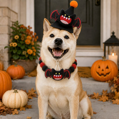 Ortekor Halloween Pet Hat & Pom-Pom Collar Set for Dogs & Cats – Easy 2-Piece Costume for Parties, Trick-or-Treating & Photos