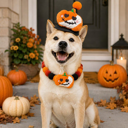 Ortekor Halloween Pet Hat & Pom-Pom Collar Set for Dogs & Cats – Easy 2-Piece Costume for Parties, Trick-or-Treating & Photos