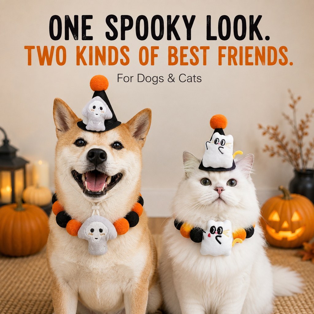 Ortekor Halloween Pet Hat & Pom-Pom Collar Set for Dogs & Cats – Easy 2-Piece Costume for Parties, Trick-or-Treating & Photos
