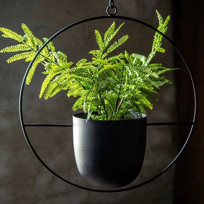 Wall-Mount Iron Planter 8 Inch Modern Floating Circle Halo Design for Succulents Herbs Indoor Outdoor Display Space-Saving Balcony Patio Apa