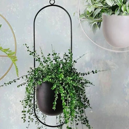 Wall-Mount Iron Planter 8 Inch Modern Floating Circle Halo Design for Succulents Herbs Indoor Outdoor Display Space-Saving Balcony Patio Apa