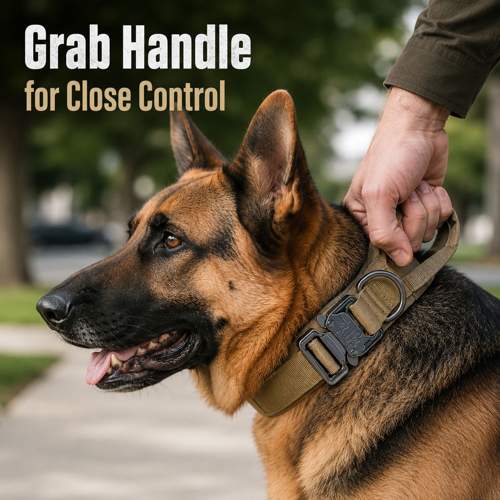 Ortekor Heavy-Duty Tactical Dog Collar for Walks & Training - Padded Handle Control for Strong Large Dogs