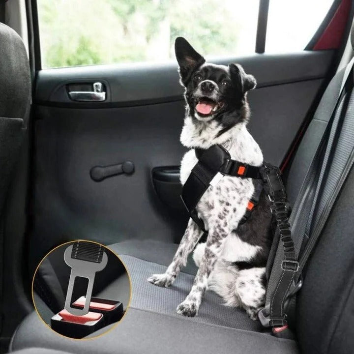 Safe Pet Car Harness with Padded Restraint and Shock Absorber