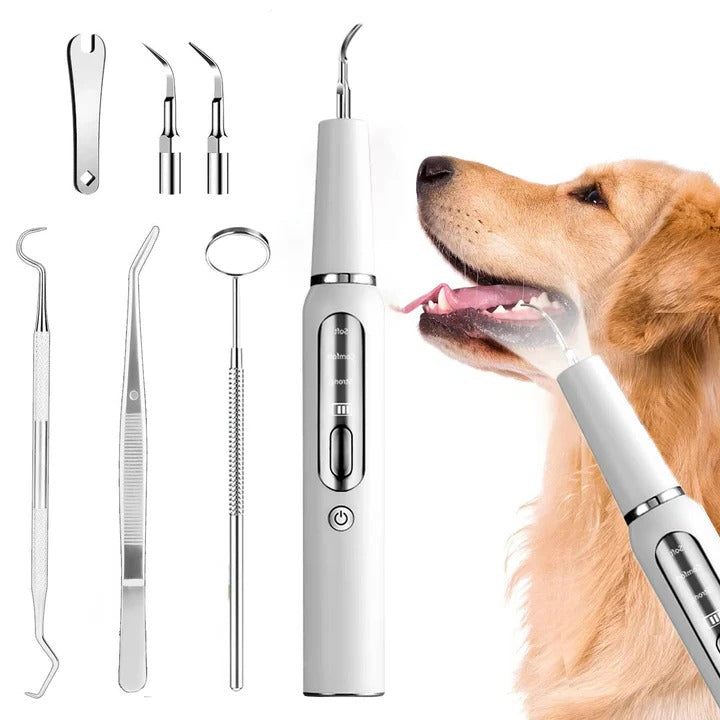 Easy Pet Teeth Cleaner for Dogs
