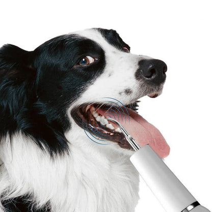 Easy Pet Teeth Cleaner for Dogs