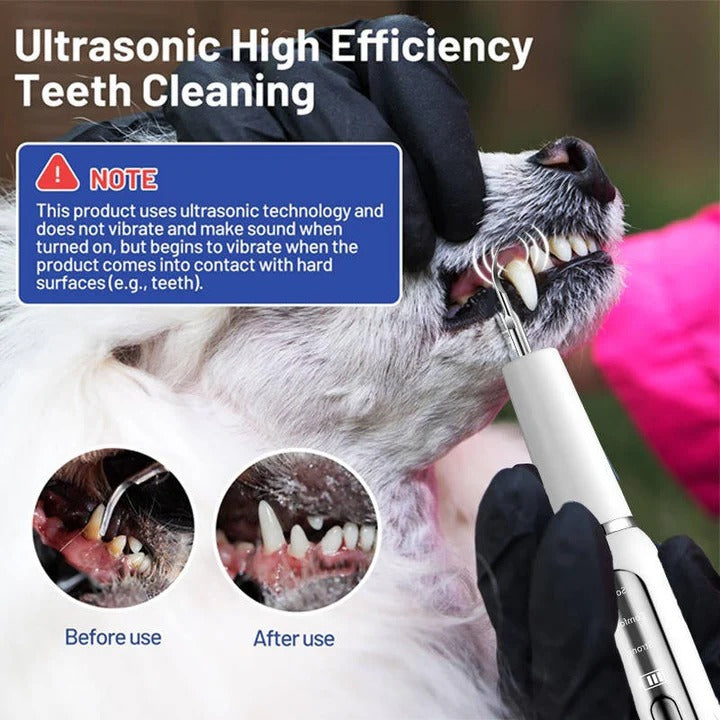Easy Pet Teeth Cleaner for Dogs