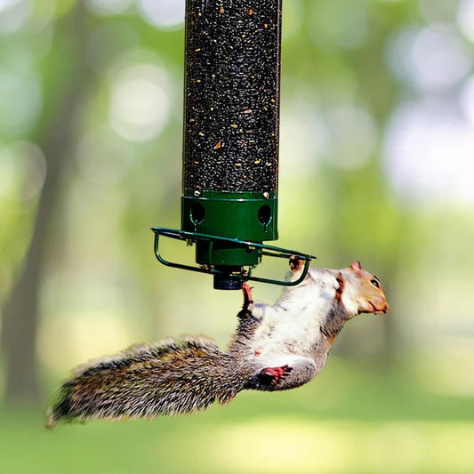 Wild Bird Feeder with Clear Plastic Tube - Ortekor