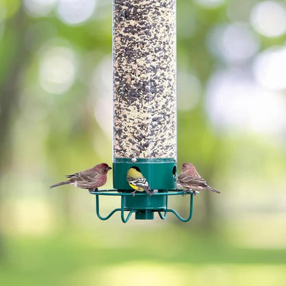 Wild Bird Feeder with Clear Plastic Tube