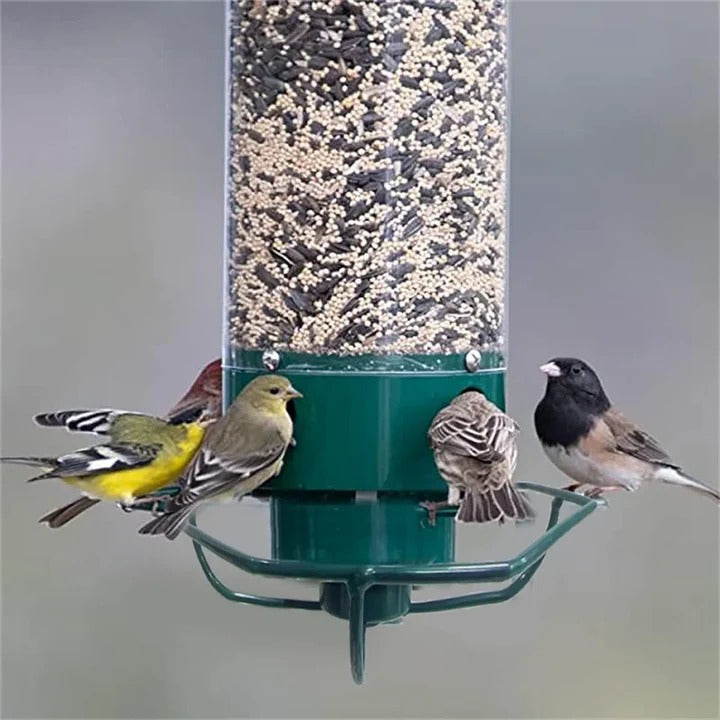 Wild Bird Feeder with Clear Plastic Tube