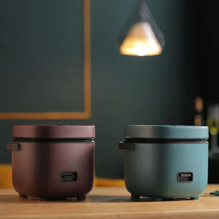 Compact Automatic Rice Cooker with Keep Warm