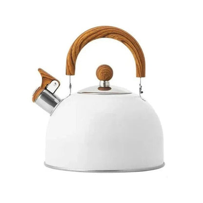 Fast Boiling Stainless Steel Whistling Kettle