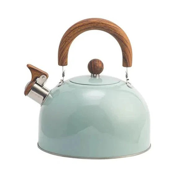 Fast Boiling Stainless Steel Whistling Kettle