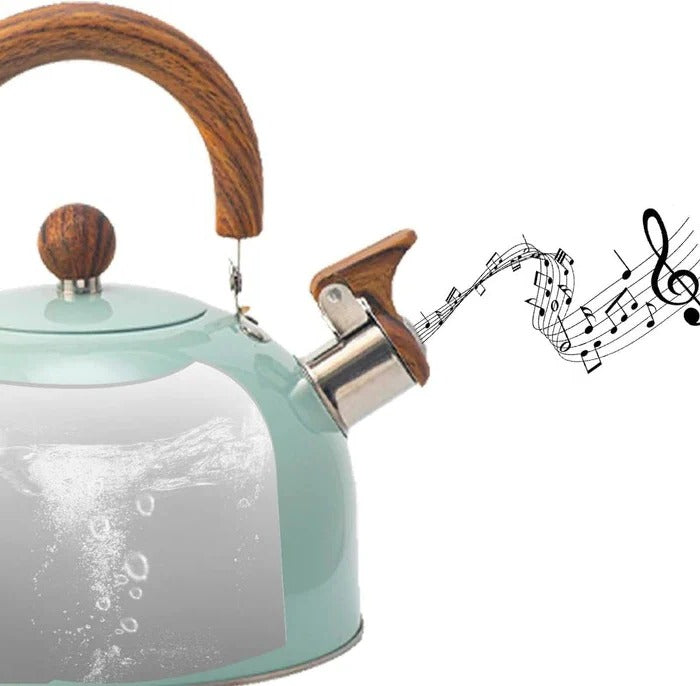 Fast Boiling Stainless Steel Whistling Kettle