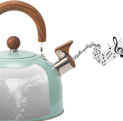 Fast Boiling Stainless Steel Whistling Kettle