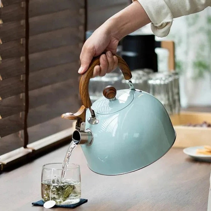 Fast Boiling Stainless Steel Whistling Kettle