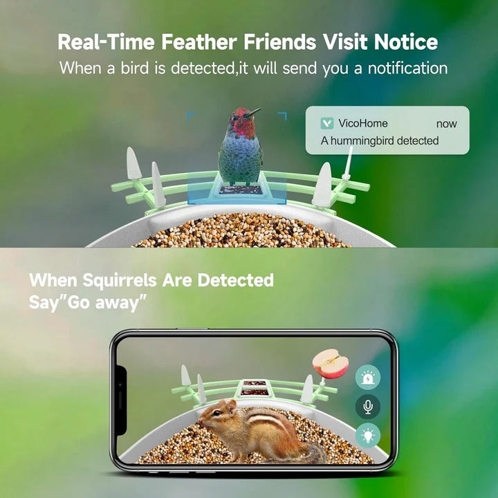Smart Bird Feeder with WiFi Camera