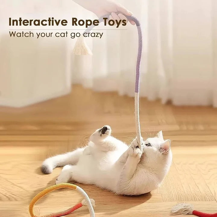 Fun Cat Toy Set with Crinkle Balls and Rope