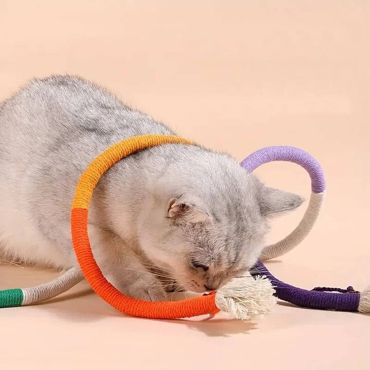 Fun Cat Toy Set with Crinkle Balls and Rope