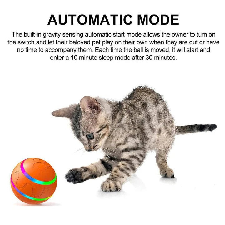 Fun Pet Ball Toy with Moving Action