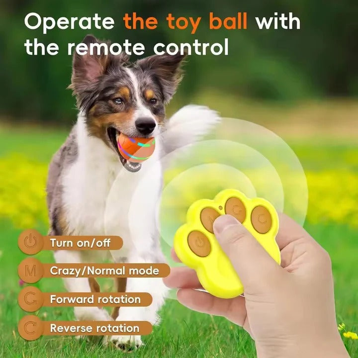 Fun Pet Ball Toy with Moving Action